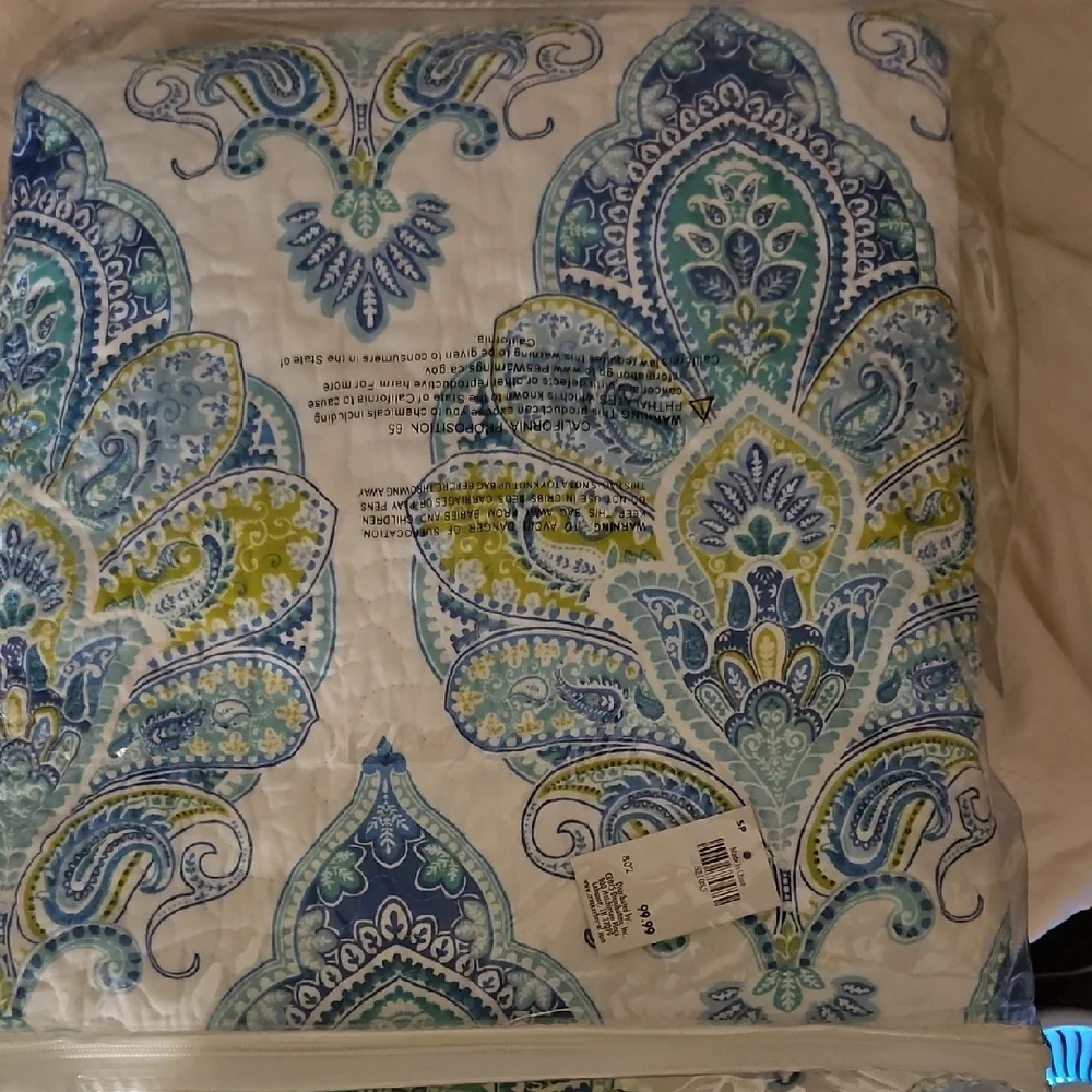 Peacock Alley Blue and White Geometric Quilt